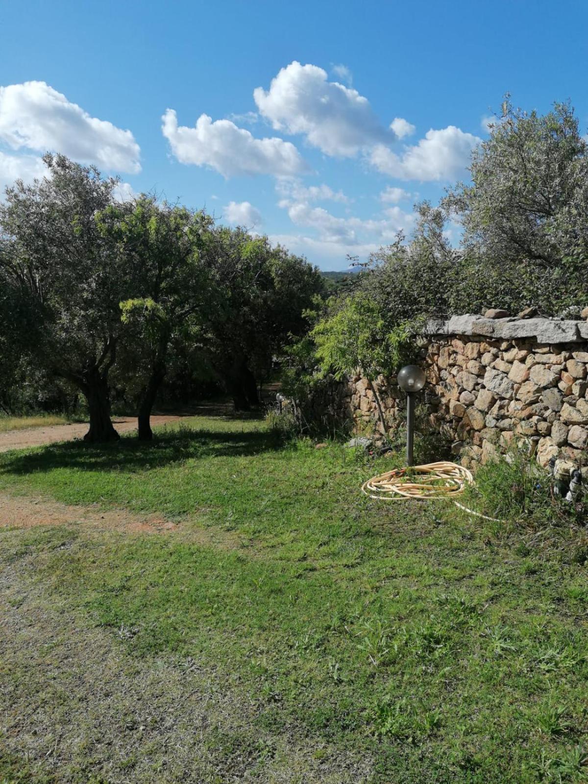 Casa Orecchioni Арцахена Екстериор снимка